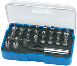 30 Piece Security Bit Set